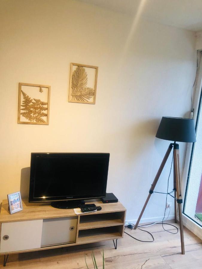 דירות פאו Le Petit Park-Studio-Terrasse- Piscine-Wifi Fibre מראה חיצוני תמונה