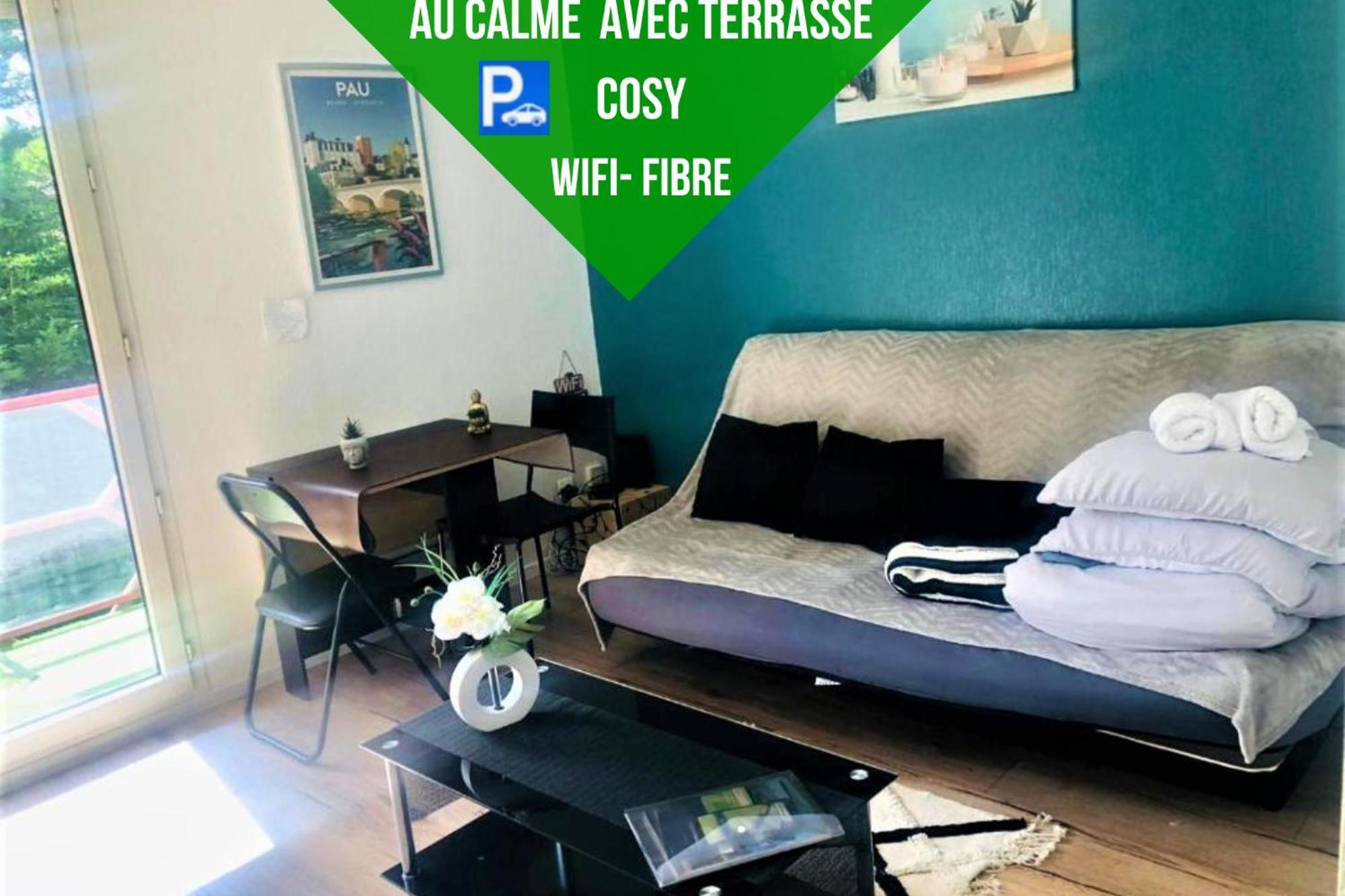 דירות פאו Le Petit Park-Studio-Terrasse- Piscine-Wifi Fibre מראה חיצוני תמונה