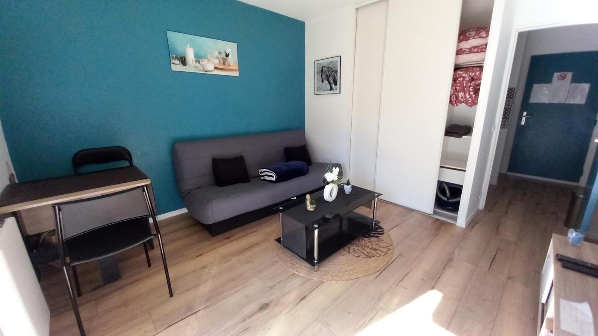 דירות פאו Le Petit Park-Studio-Terrasse- Piscine-Wifi Fibre מראה חיצוני תמונה